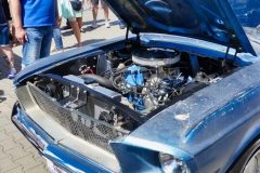 230_P1010776