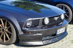 232_P1010385