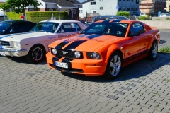 239_P1010394