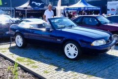 240_P1010395