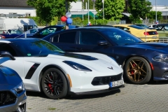 245_P1010401