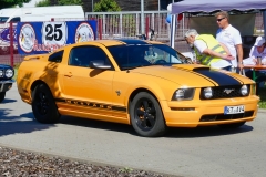 264_P1010422