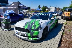 277_P1010438