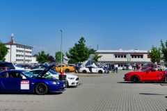 289_P1010450