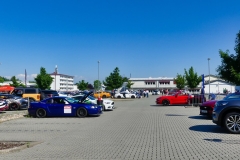 290_P1010451