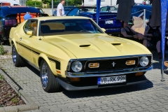 291_P1010452