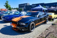 295_P1010456