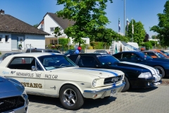 297_P1010458
