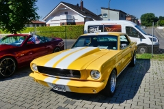 298_P1010459