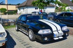 300_P1010461