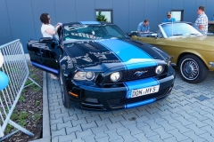 334_P1010495