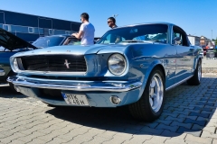 352_P1010513