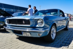 353_P1010514
