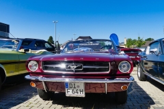 355_P1010516