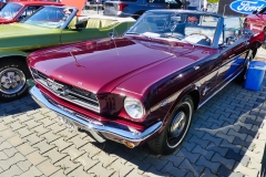 356_P1010517