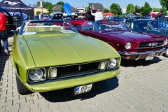 358_P1010519