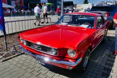 359_P1010520