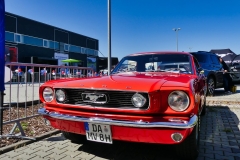 361_P1010522