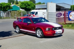371_P1010532