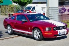 372_P1010533