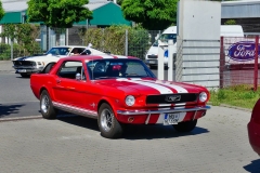 373_P1010534