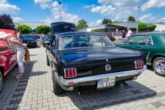 61_P1010607