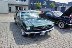 65_P1010611