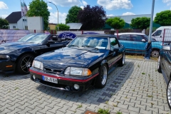 67_P1010613