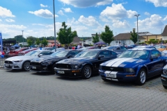 72_P1010618