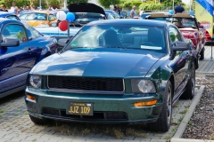 73_P1010619
