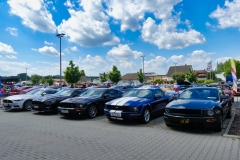 74_P1010620