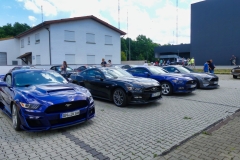 88_P1010634