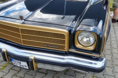 91_P1010637