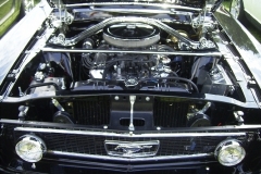 11_stangfest_wpoh_20100721_1216009850