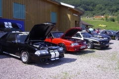 11_stangfest_wpoh_20100721_1733913876