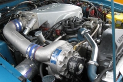 stangfest_2010_in_alzey_20100722_1806307231