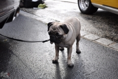 wpoh_15712_20120716_1151294467