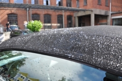 wpoh_15712_20120716_1659212945