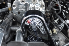 wpoh_15712_20120716_1848784042