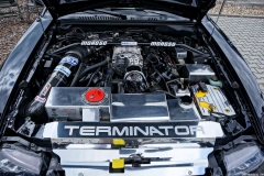 mainhausen2018_86_20180815_1329676072