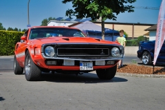 DSC_0183
