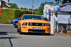 DSC_0347