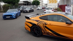 2025-07-06-Bild-025-Webside