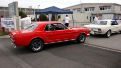 2025-07-06-Bild-028-Webside