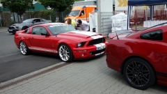 2025-07-06-Bild-029-Webside