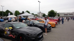 2025-07-06-Bild-057-Webside