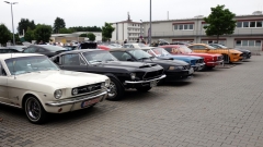 2025-07-06-Bild-061-Webside