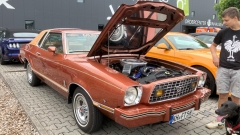 2025-07-06-Bild-068-Webside