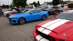 2025-07-06-Bild-077-Webside