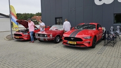 2025-07-06-Bild-081-Webside